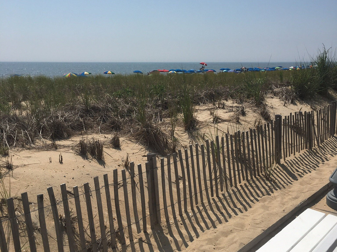 Dune Nature Park-里霍博斯比奇必去景点