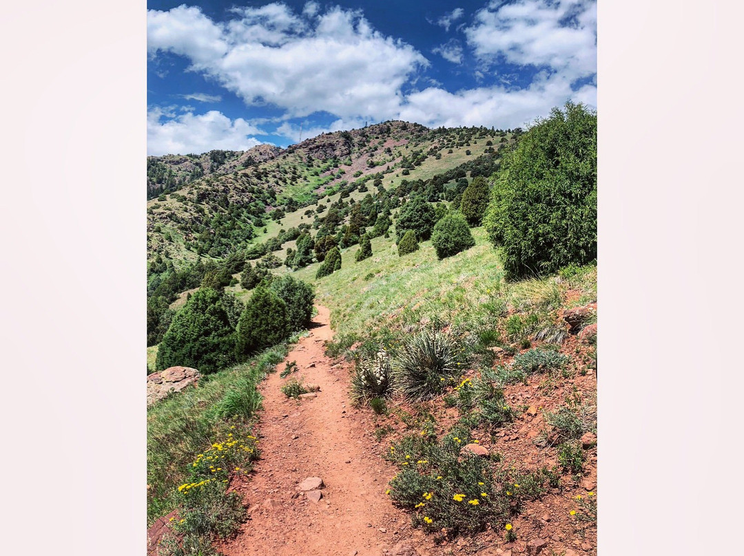 Matthews/Winters Park-戈尔登必去景点