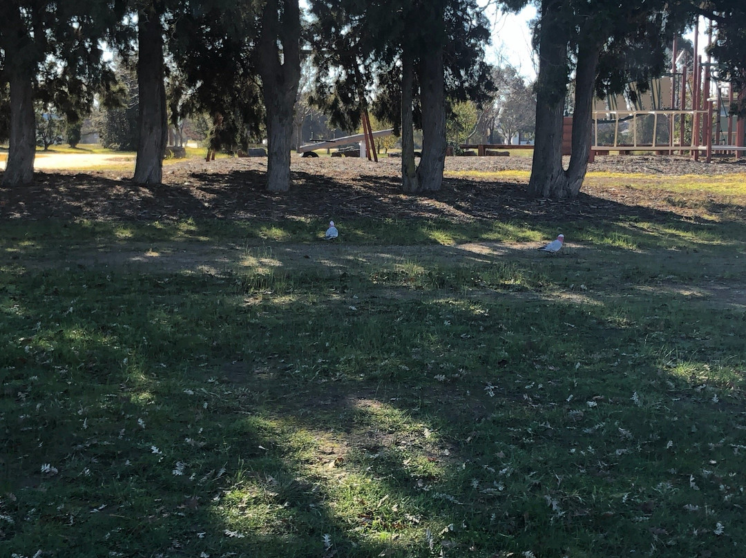 Brennan Park-塞尔必去景点