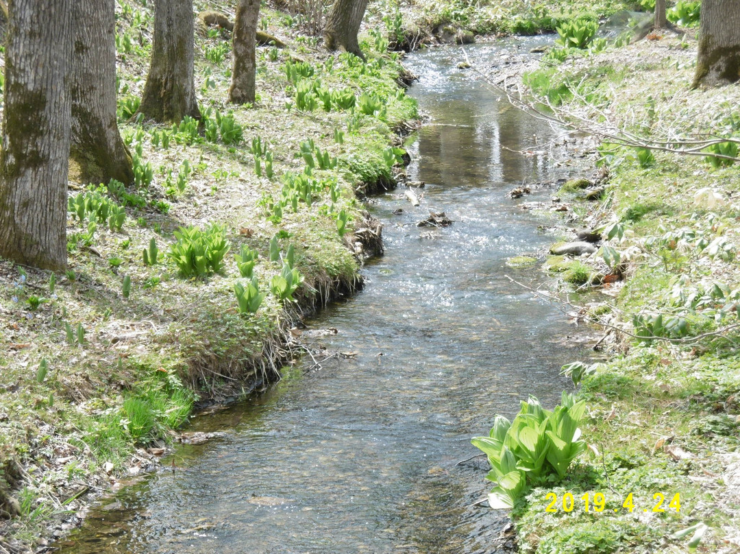 Shin Arashiyama Sky Park Observatory-芽室町必去景点