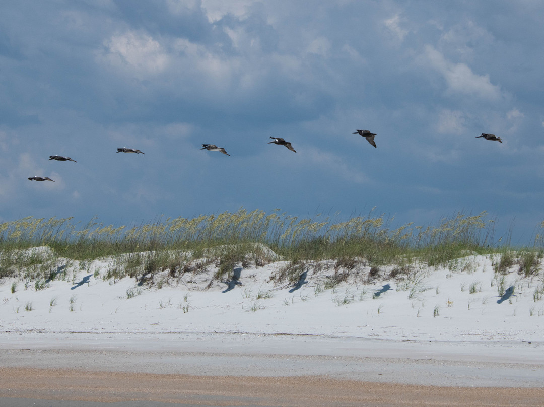 Wrightsville Beach Scenic Tours-赖茨维尔比奇必去景点