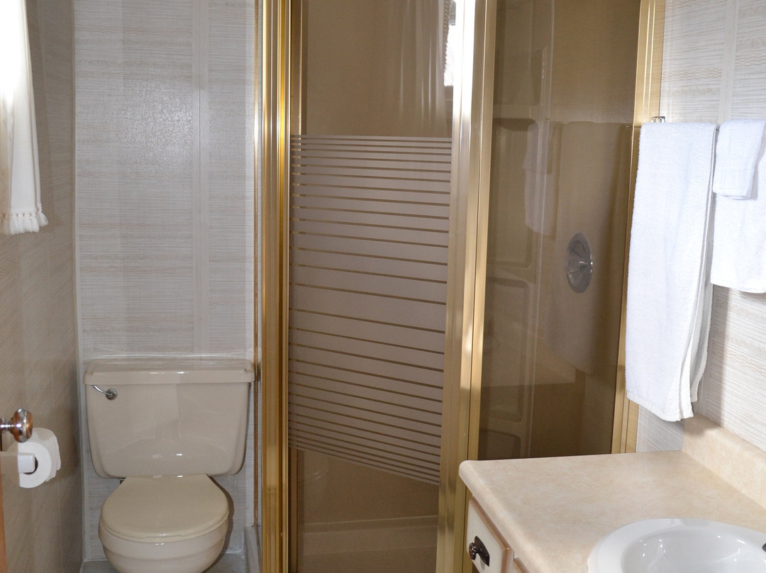 Stardust Motel主图