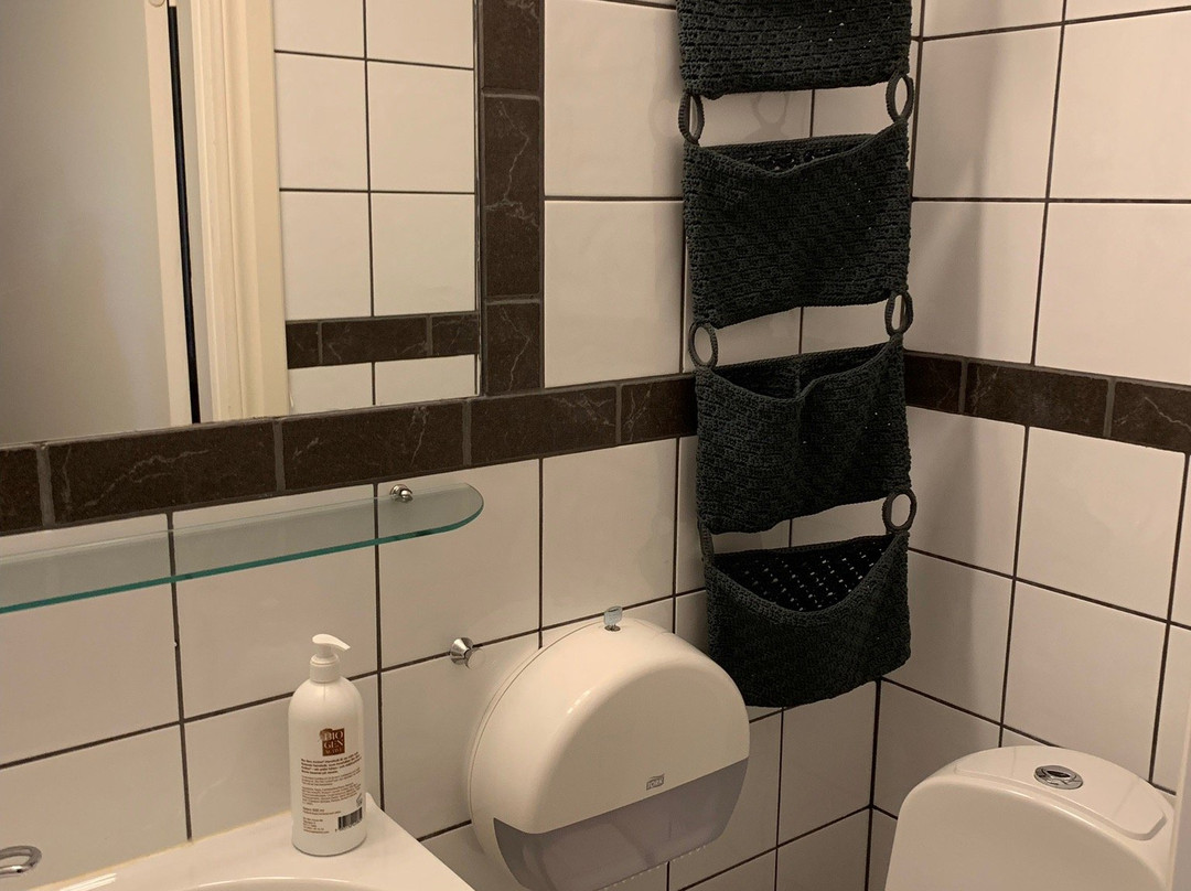 Millestgården Eco Lodge Åre AB主图