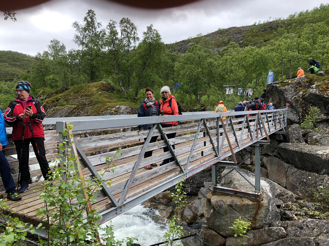 Visit Narvik Tourist Information景点图片