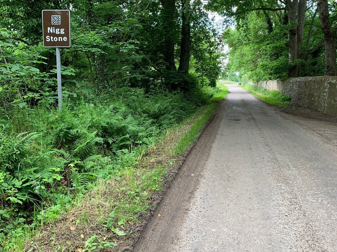 Nigg Old Church-Nigg必去景点