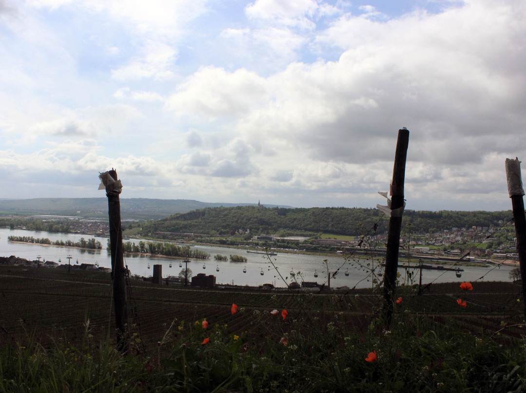 Tourist Information Rudesheim-吕德斯海姆必去景点