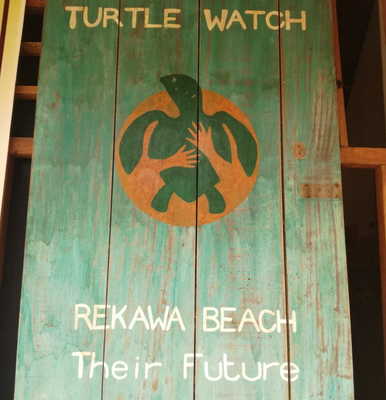 Turtle Conservation Project Turtle Watch景点图片