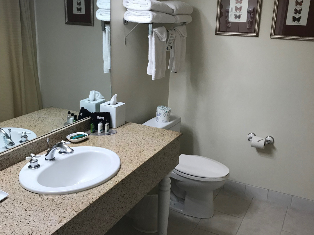 巴尔港大酒店主图