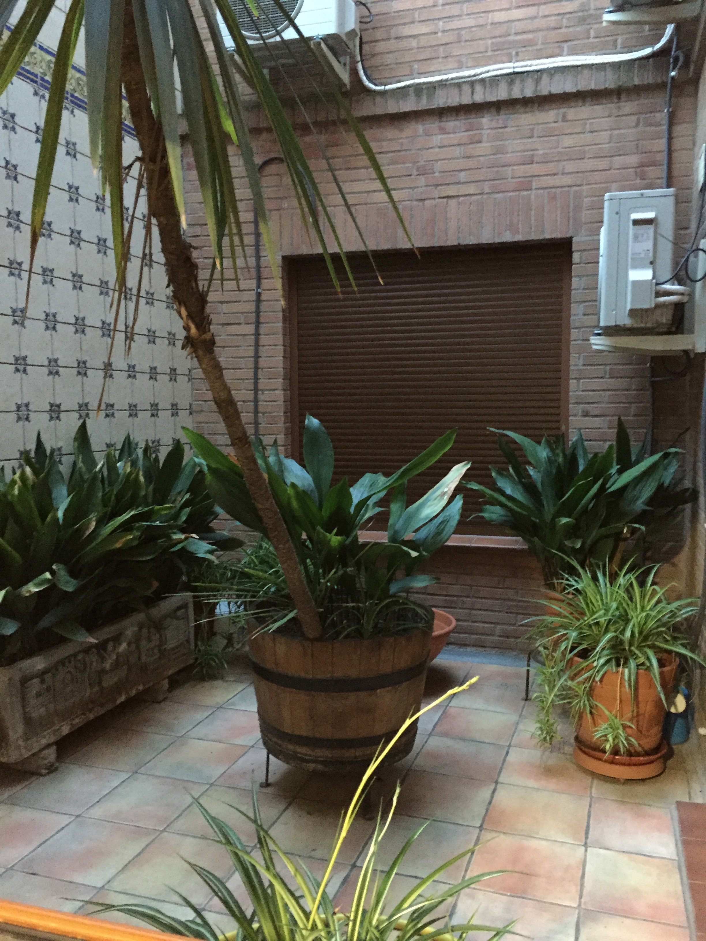 Hostal la Cepa-酒店景观