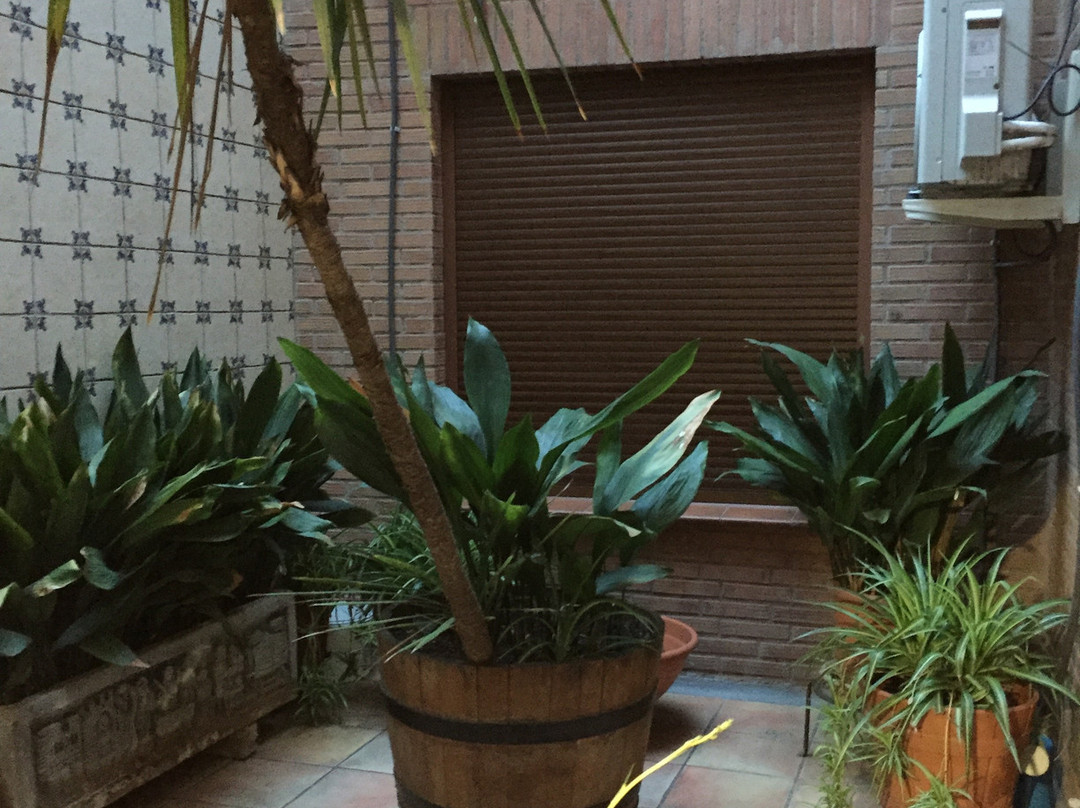 Hostal la Cepa主图