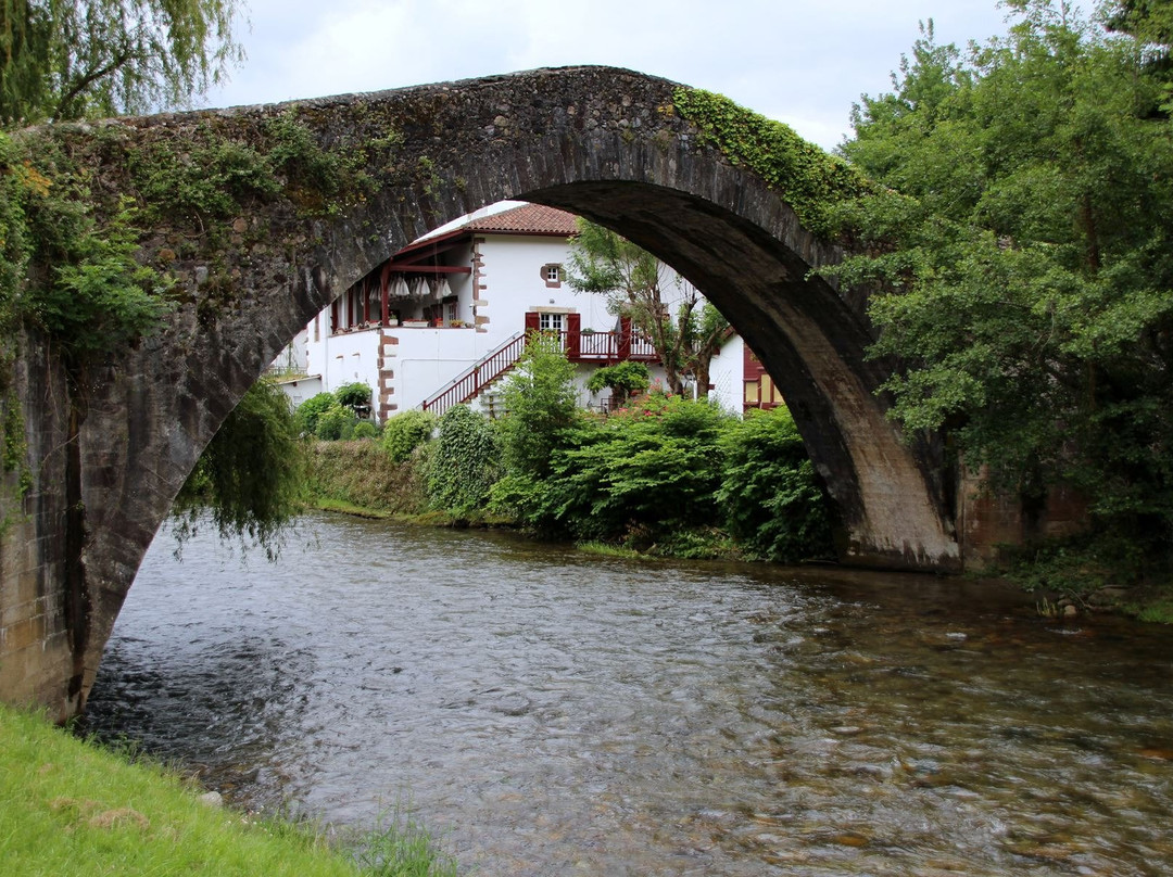 Pont Romain.景点图片