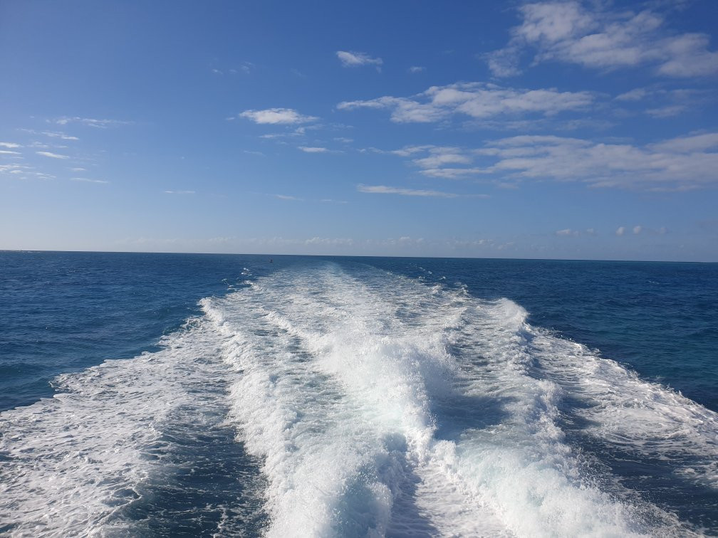 大堡礁巡航之旅景点图片