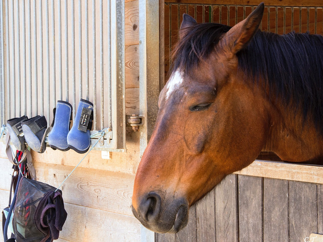 Silvaland-Kalafationes必去景点