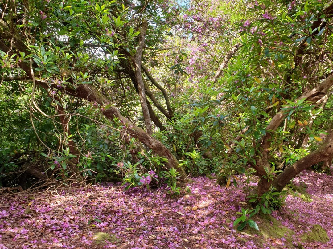 Reenagross Park-肯梅尔必去景点