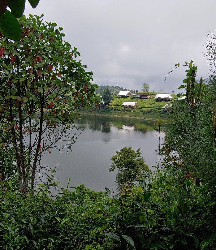 Patenggang Lake景点图片