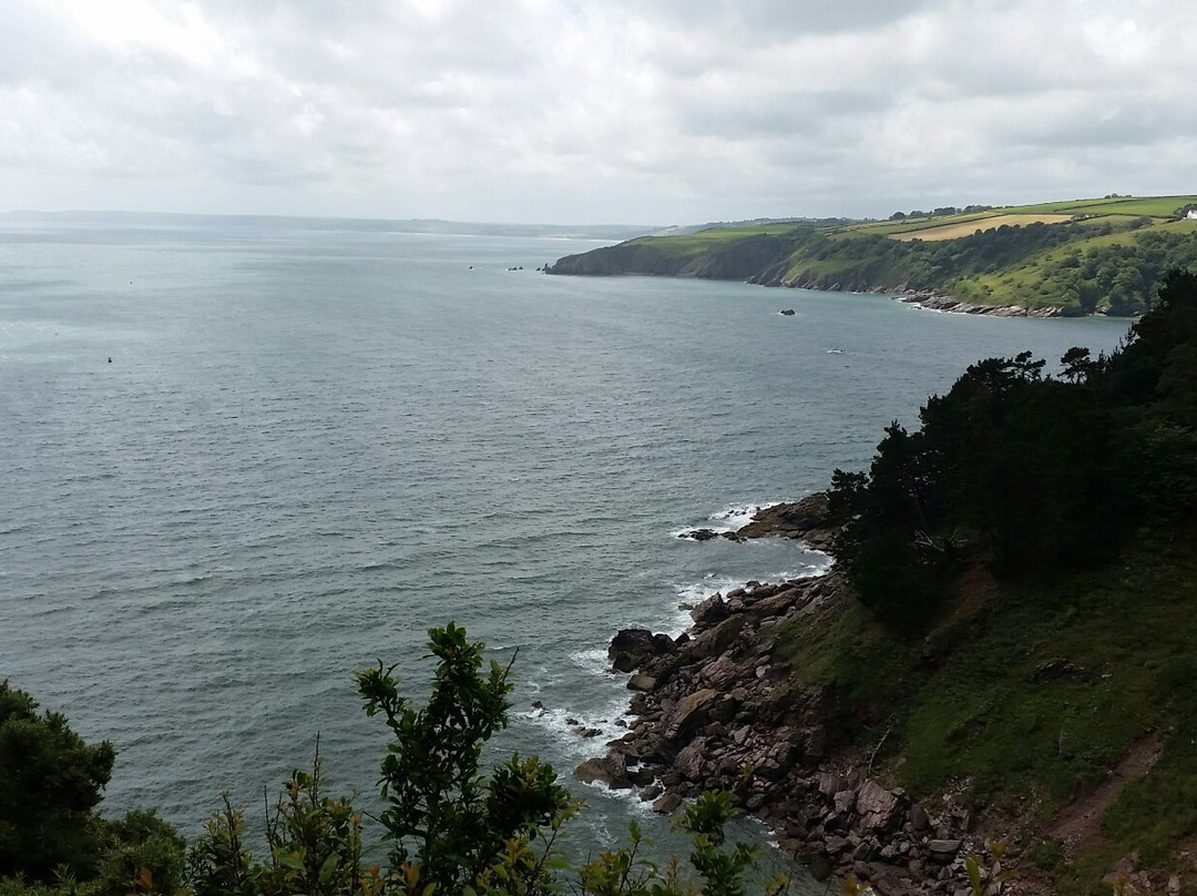 Kingswear & Brownstone Battery Walk景点图片