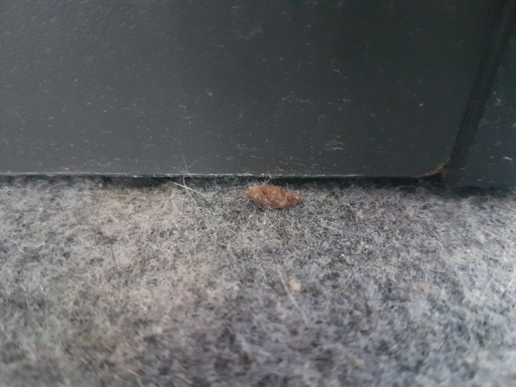 B&B HOTEL Bayonne Tarnos主图