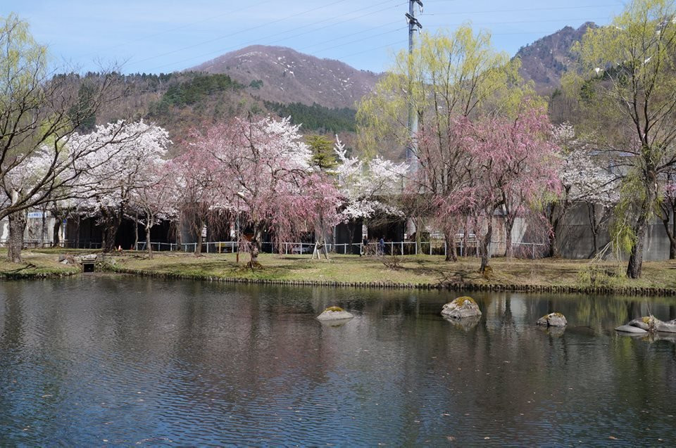 Yuzawa Central Park景点图片