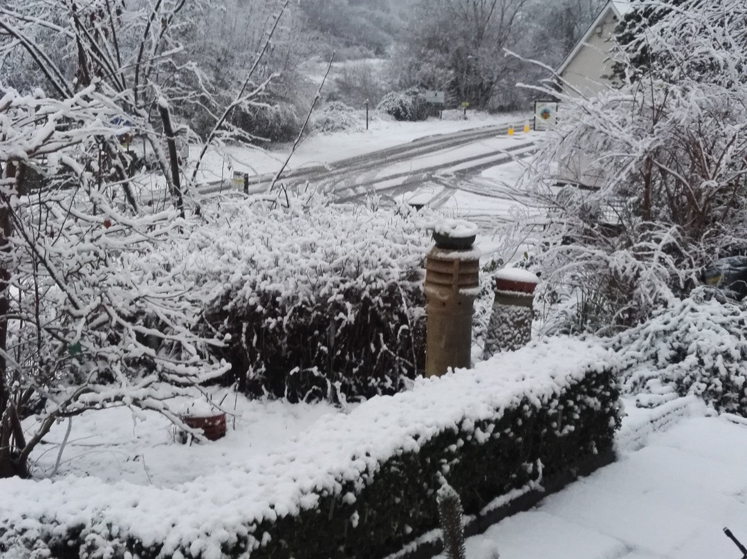 Inglewood House主图