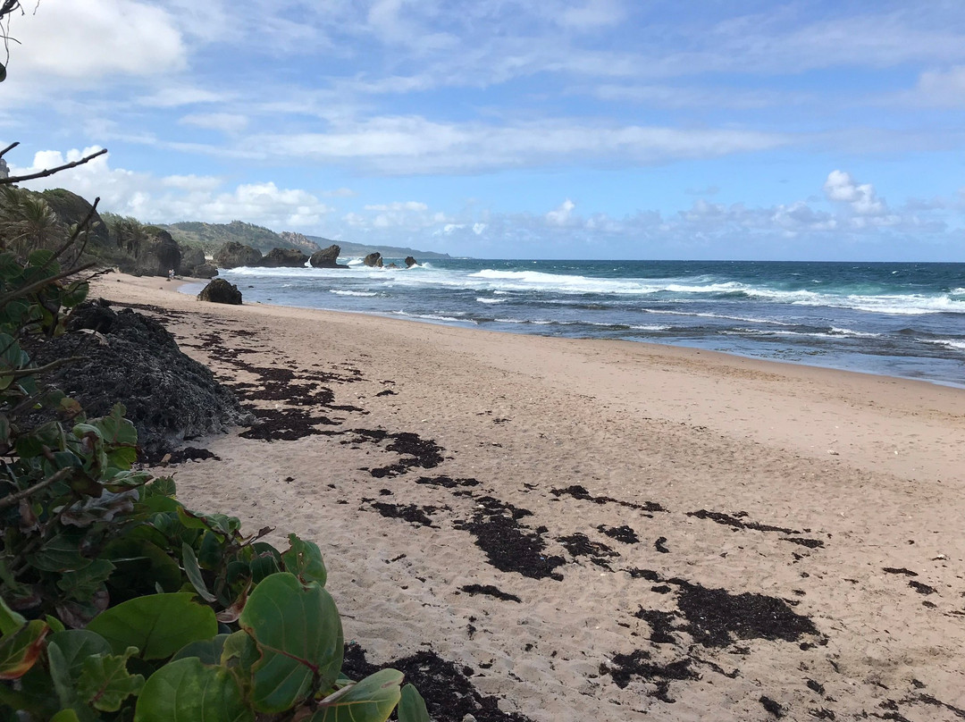 Soup Bowl-Bathsheba必去景点