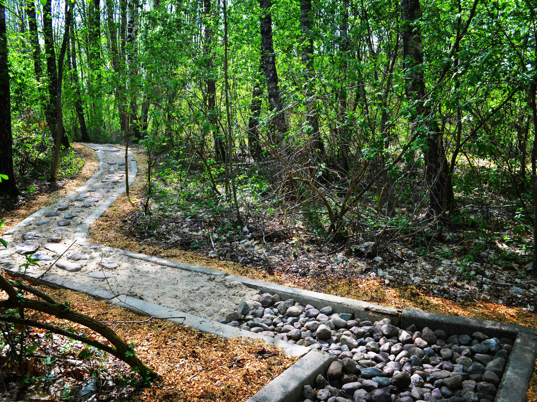 Eco Barefoot Park景点图片