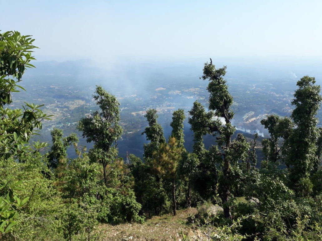 Birni Devi Temple景点图片