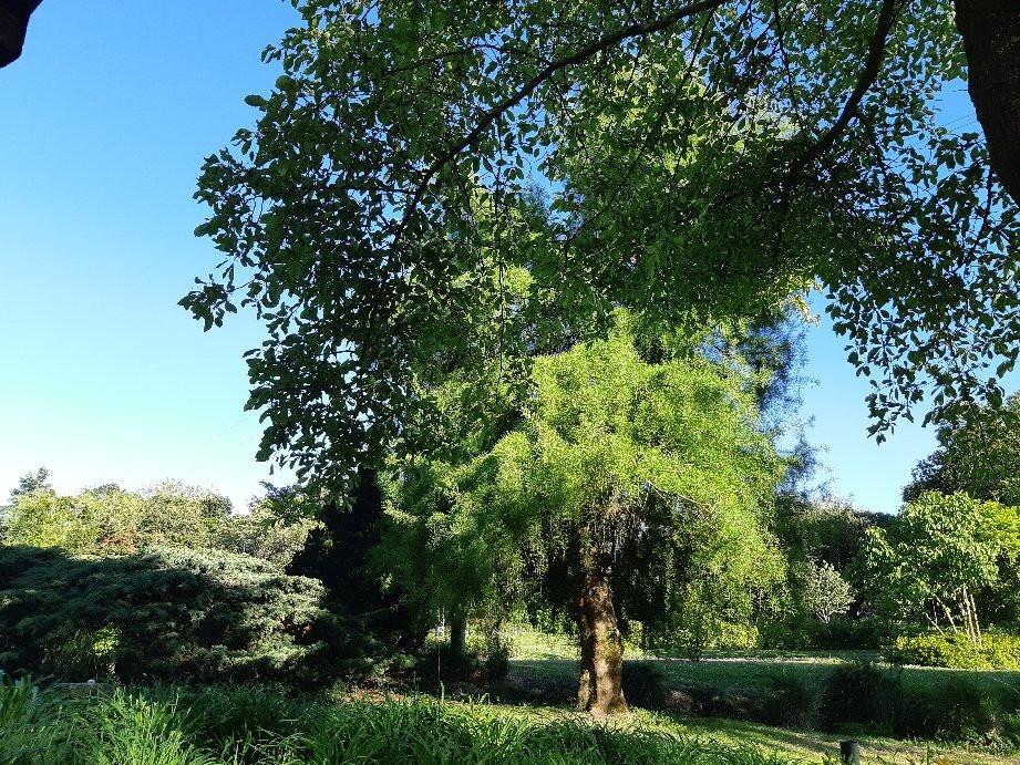 Parc de la Beaujoire景点图片