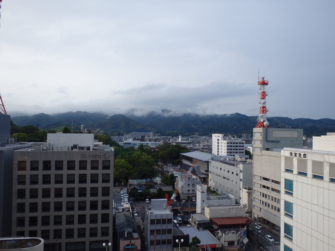 高知新阪急皇冠酒店主图