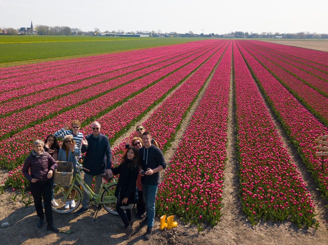 Tulip Tours Holland景点图片