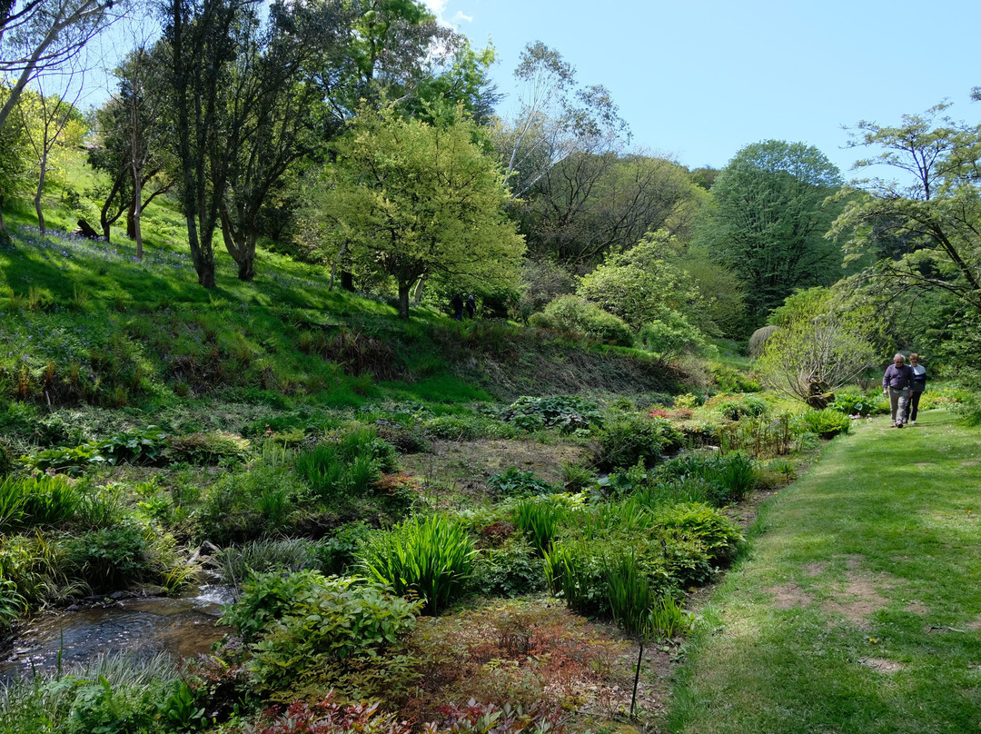 Marwood Hill Gardens景点图片