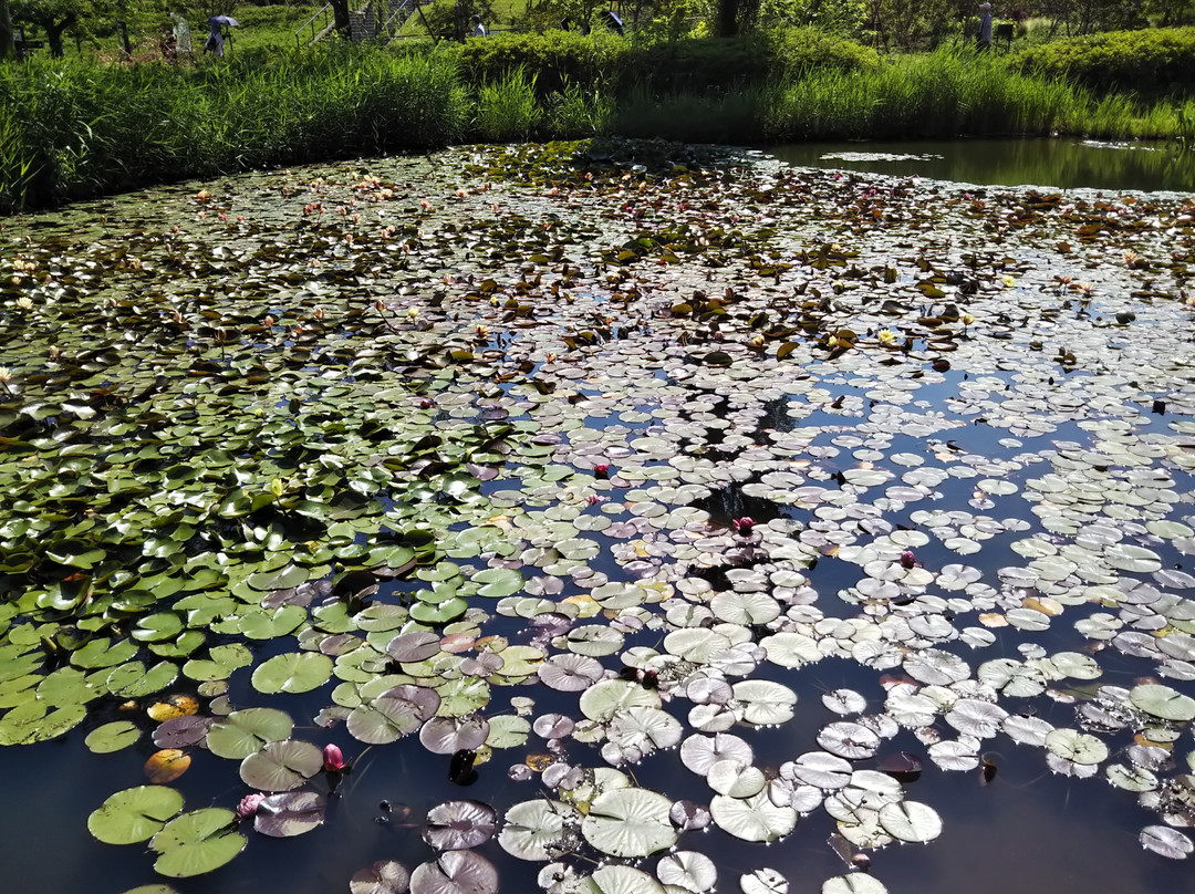 Kana Garden-平冢市必去景点