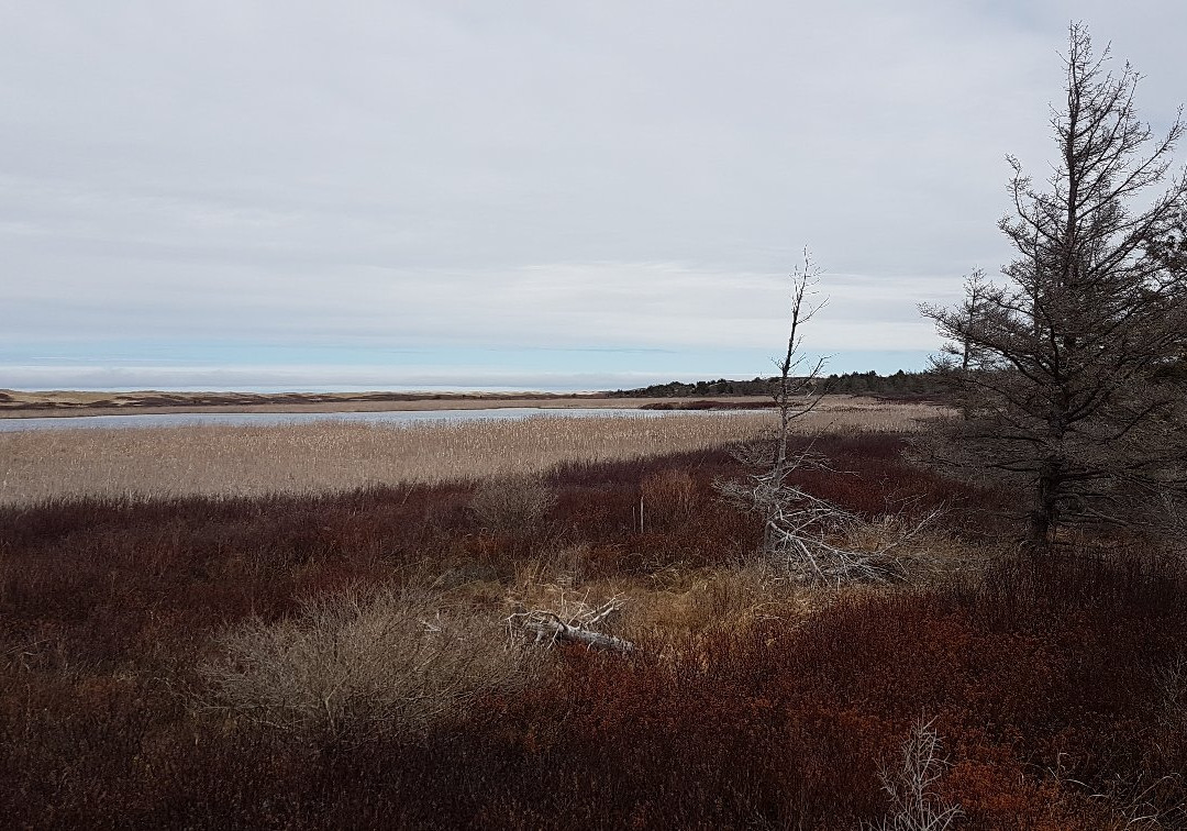 Prince Edward Island National Park景点图片