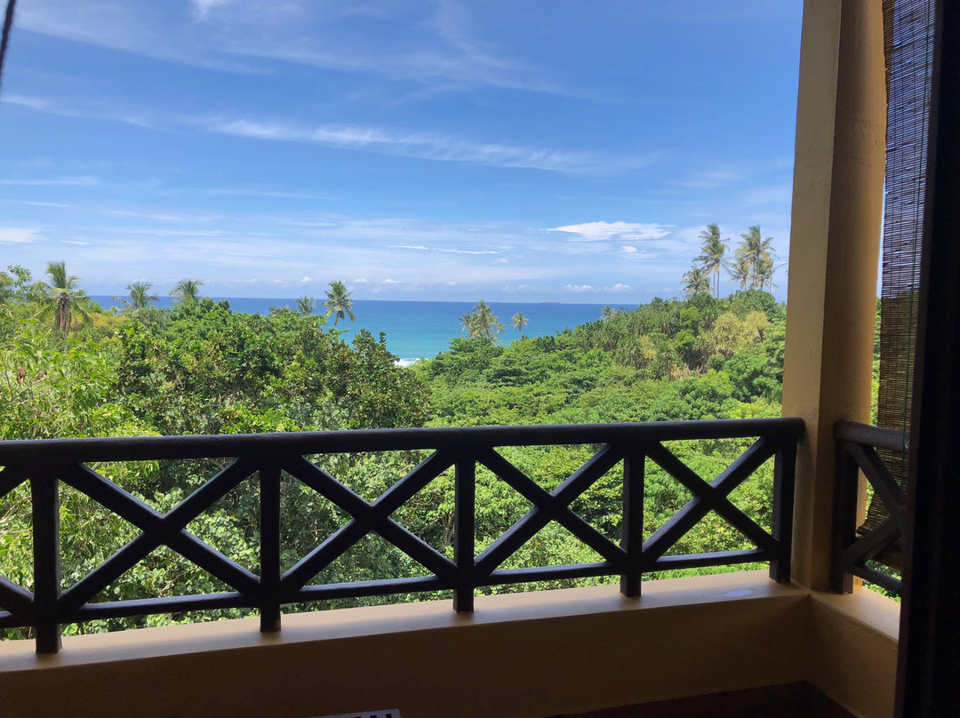 Barberyn Beach Ayurveda Resort主图