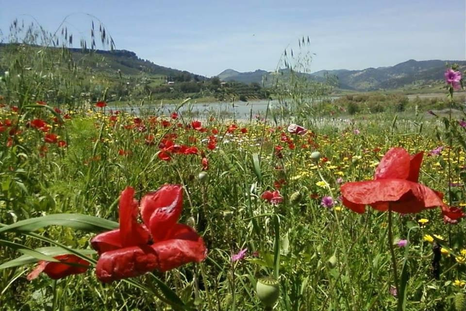 Taounate Ecotourism Discoveries-Taounate必去景点