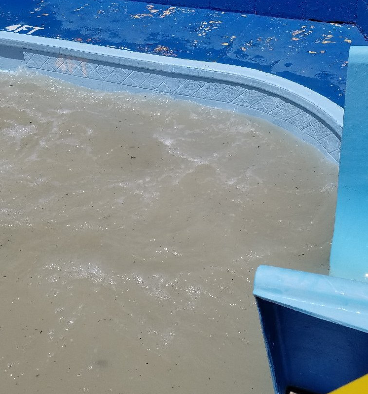 Sun 'n Fun Waterpark-庞卡城必去景点