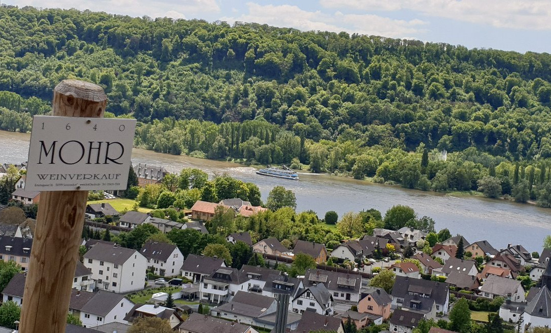 Weingut Mohr景点图片
