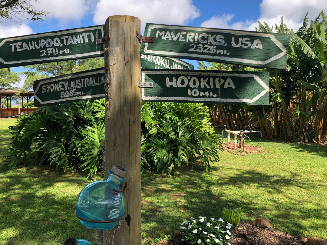 The Hawaii Sea Spirits Organic Farm and Distillery景点图片