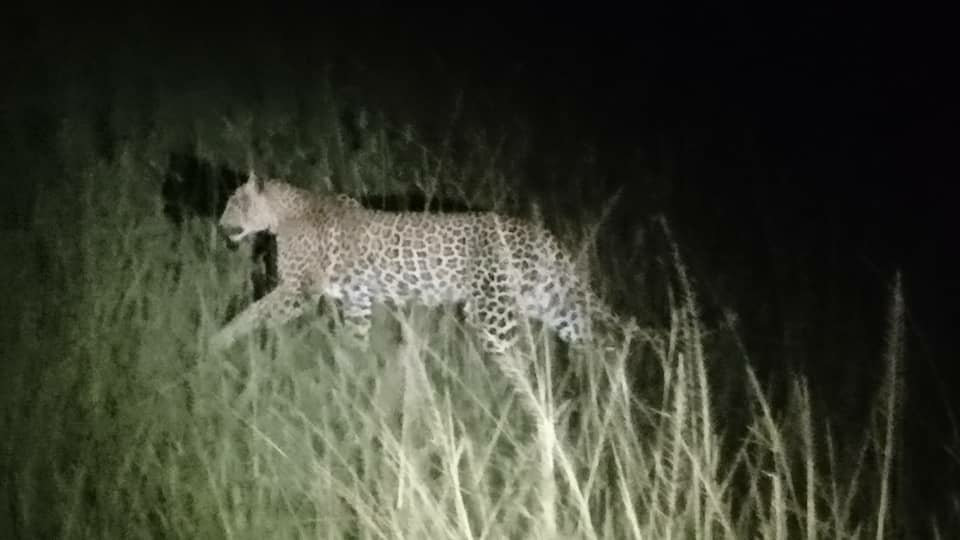 null-Akagera National Park