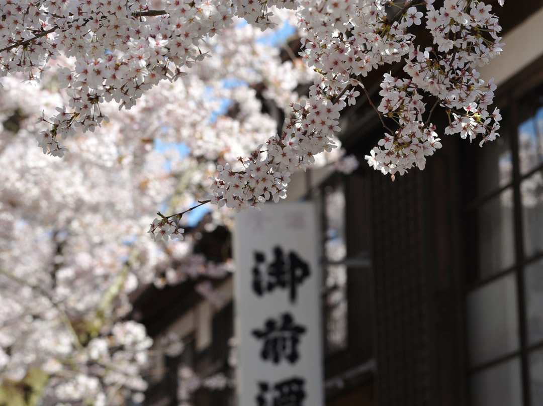 Gaisenzakura-新庄村必去景点