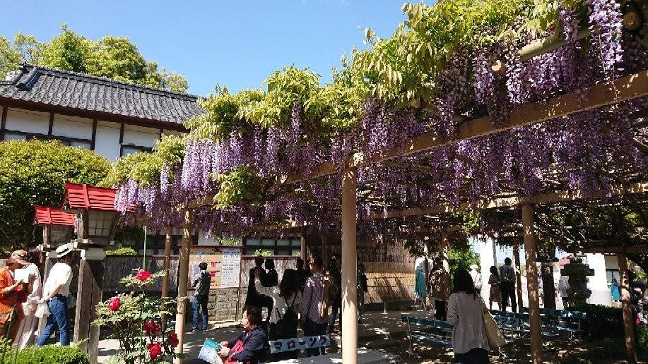 Kanahebisui Shrine-岩沼市必去景点