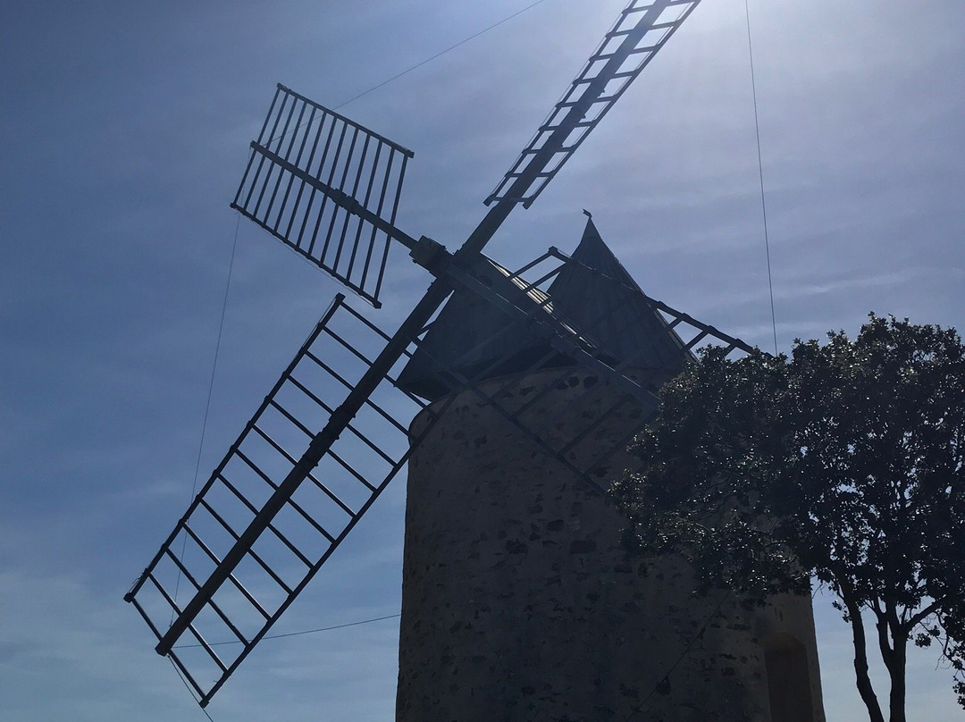 Le Moulin du Bonheur景点图片