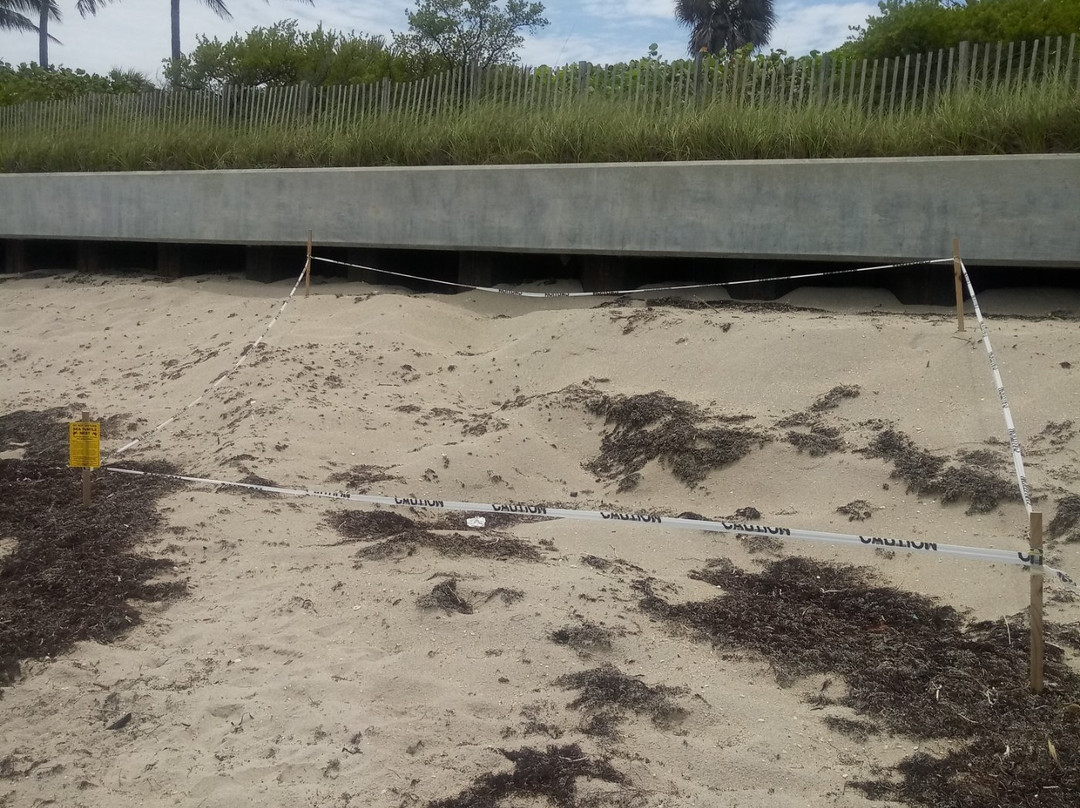 Lantana Public Beach Lantana-Lantana必去景点