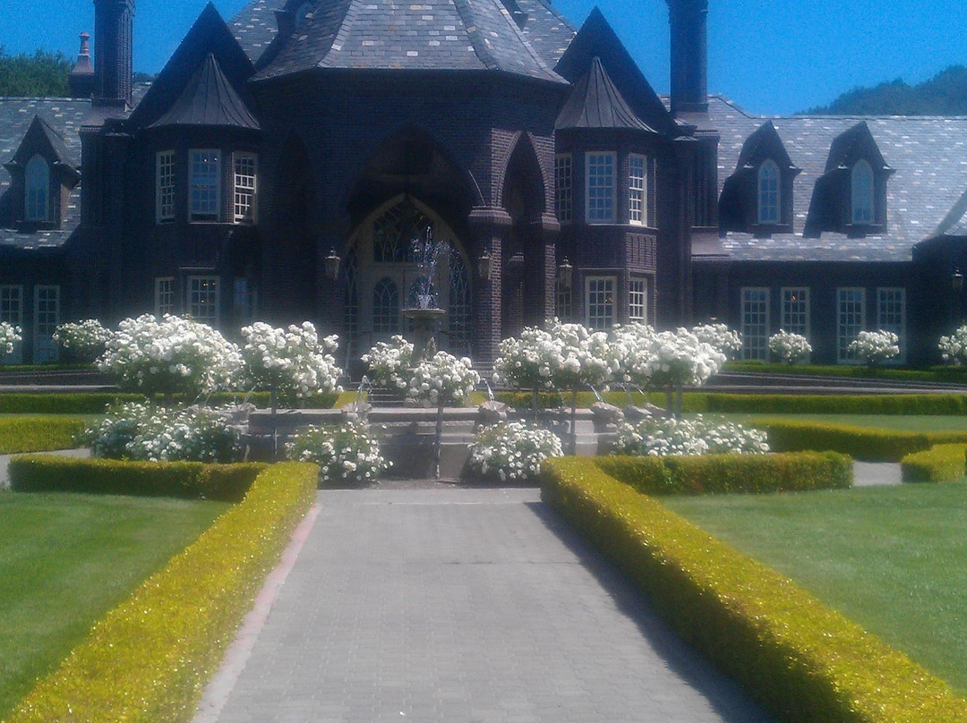 Napa Valley SUV景点图片