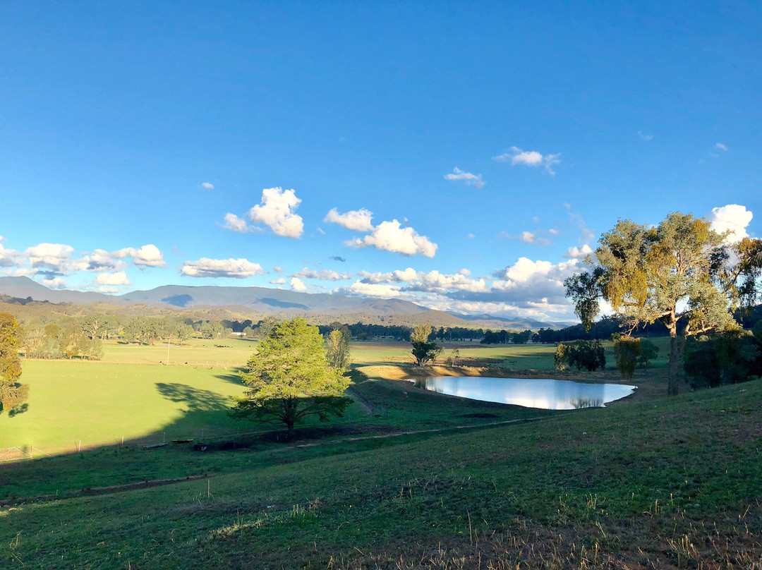 Red Feet Wines-King Valley必去景点