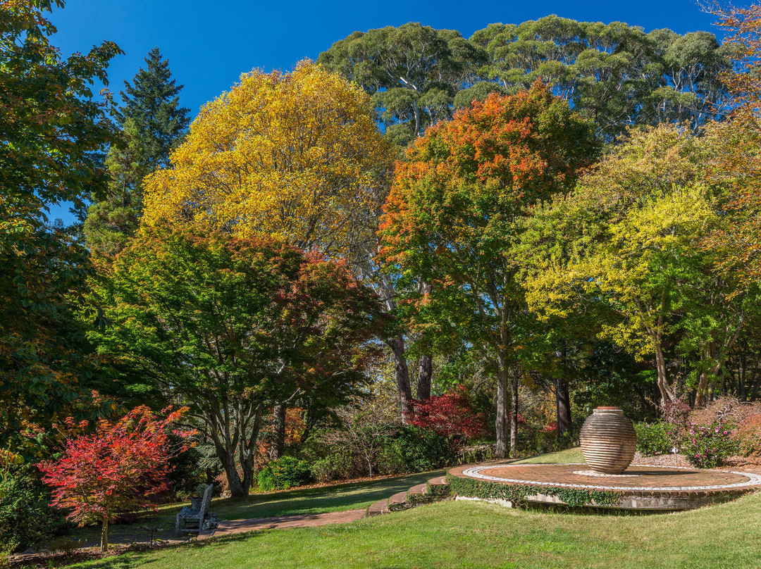 Windyridge Garden景点图片