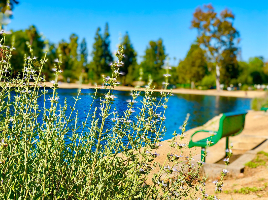 Laguna Lake Park-富乐顿必去景点