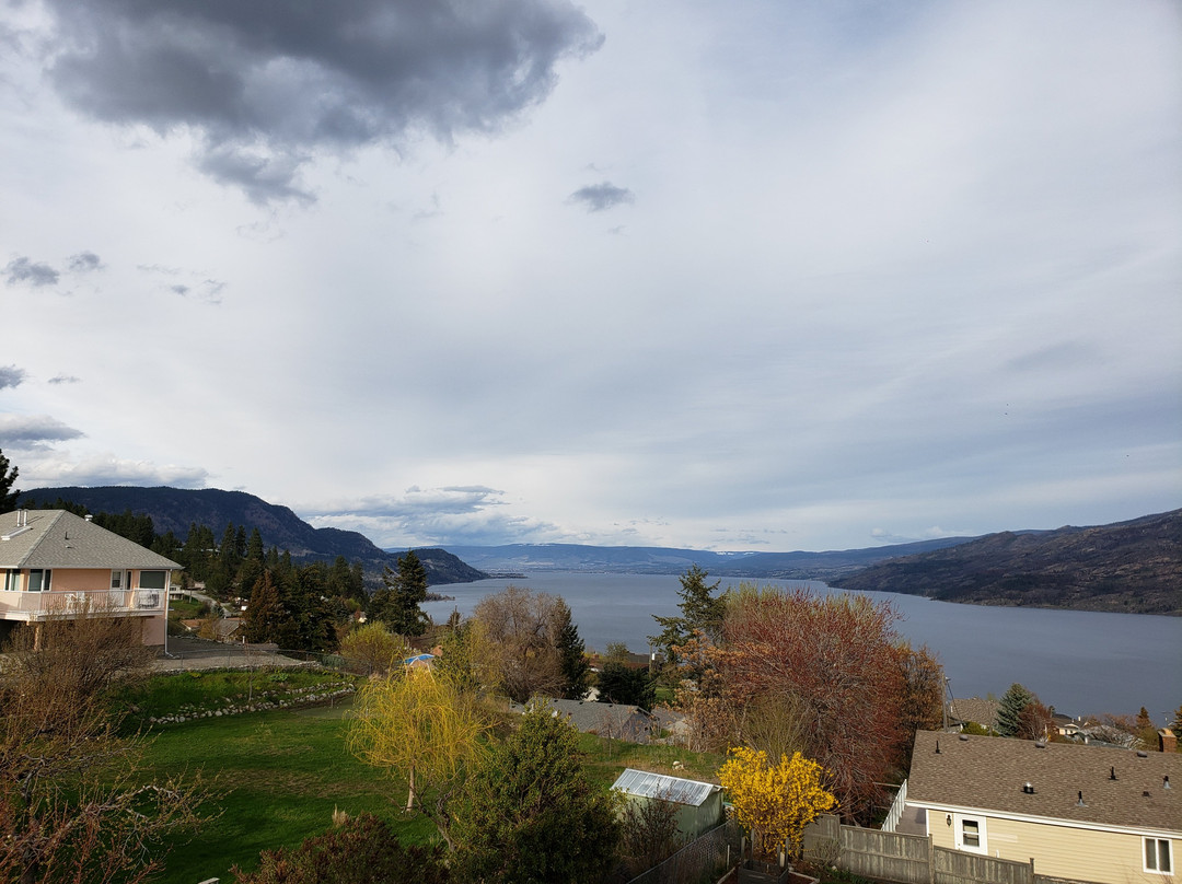 A Day's Dream B&B