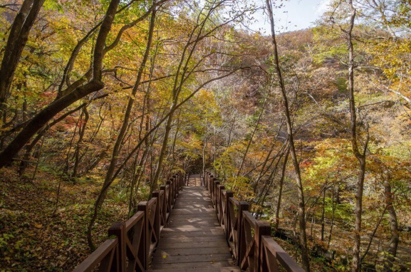Geomnyongso Pond-太白市必去景点