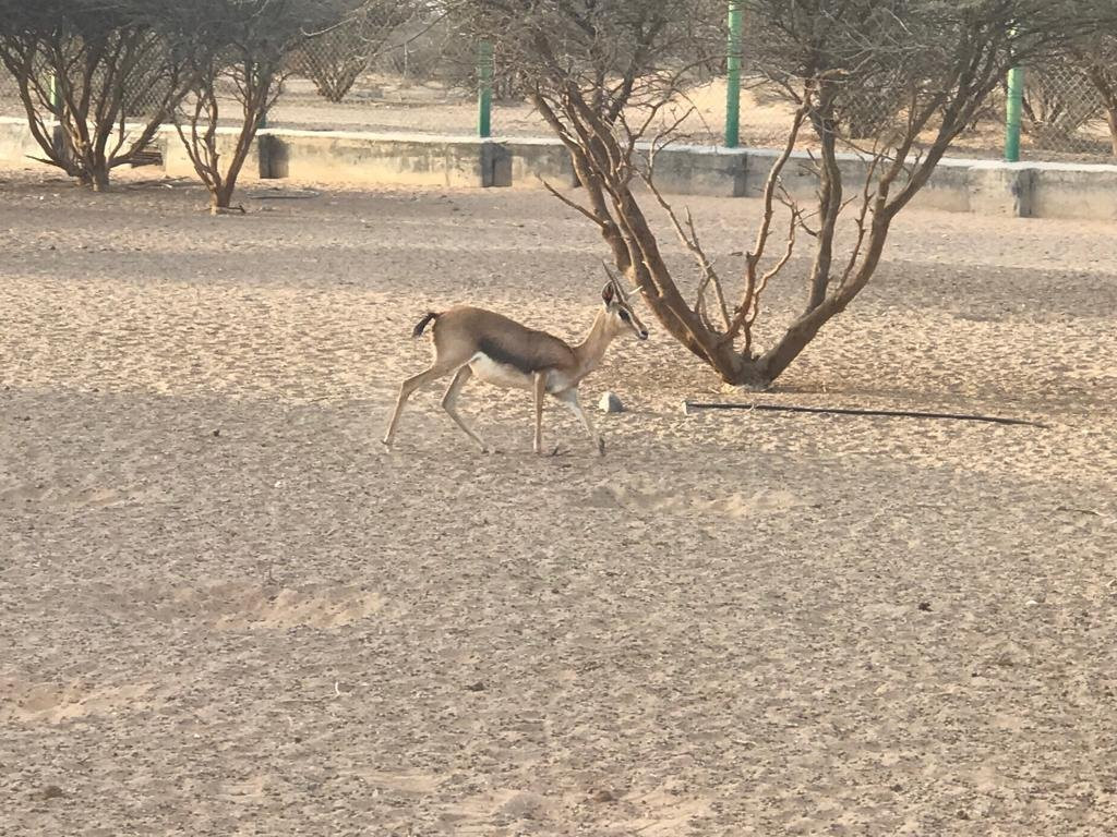 Al Saleel National Park-Al Kamil Wal Wafi必去景点