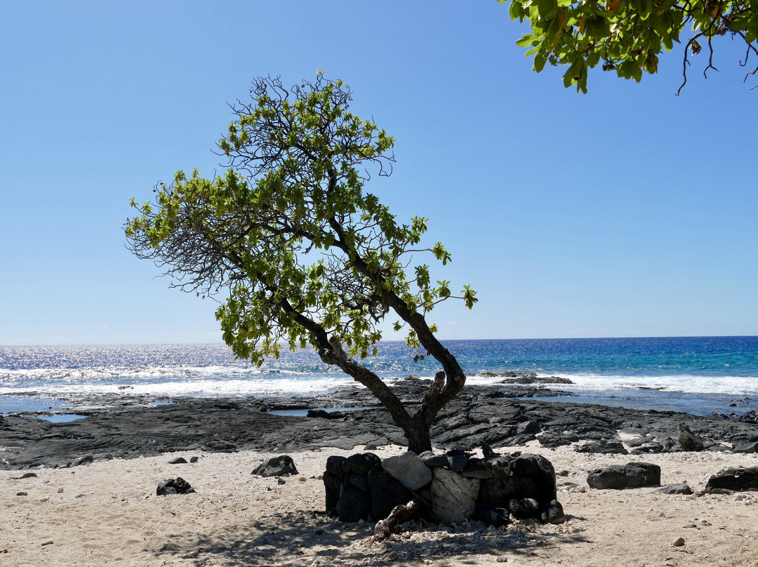 Kohanaiki Beach Park景点图片